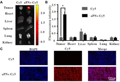 Activated platelet membrane nanovesicles recruit neutrophils to exert the antitumor efficiency